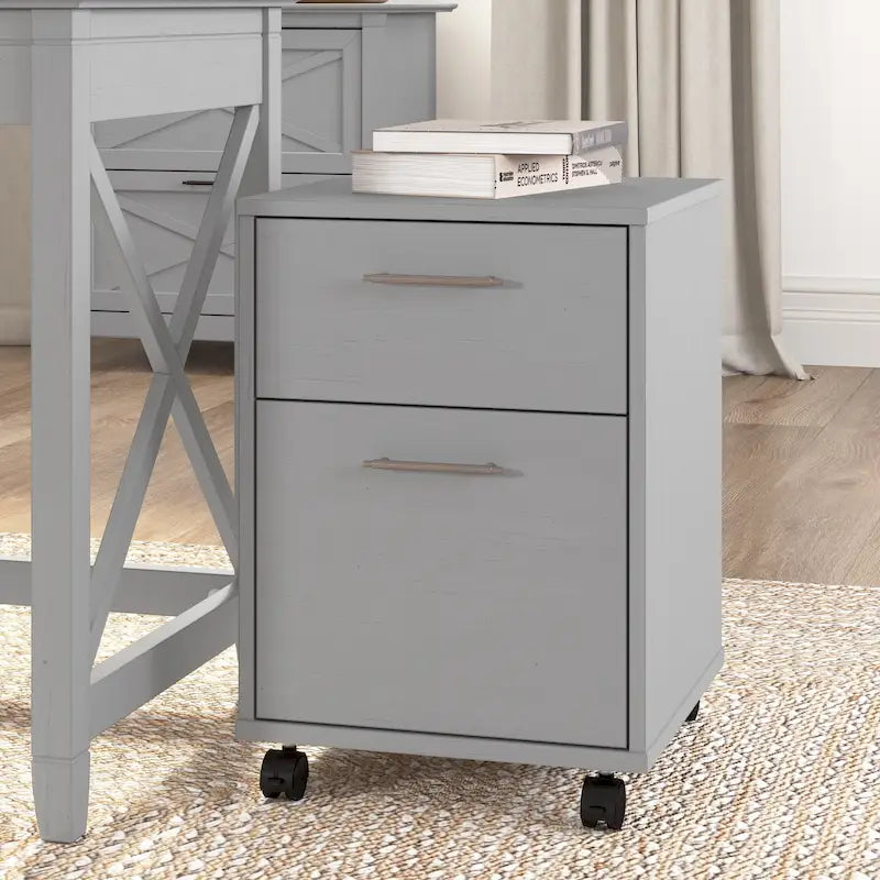2 Drawer Mobile File Cabinet with Lock Wheels for Home Office