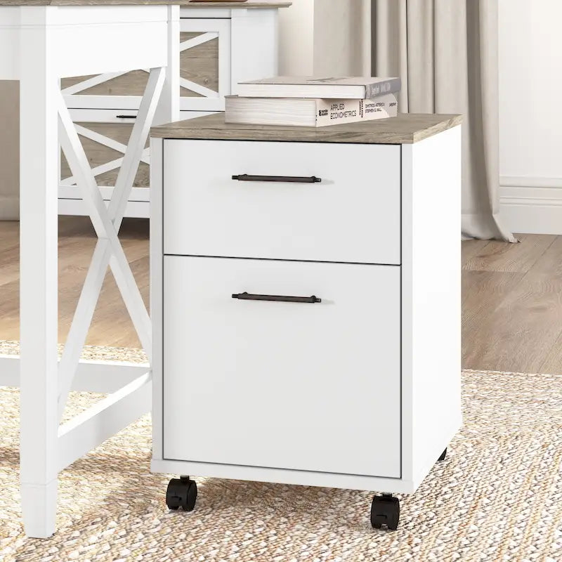 2 Drawer Mobile File Cabinet with Lock Wheels for Home Office